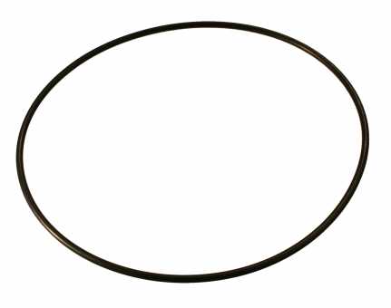 O-Ring C0800023 (HRSB1201) for HR-55 